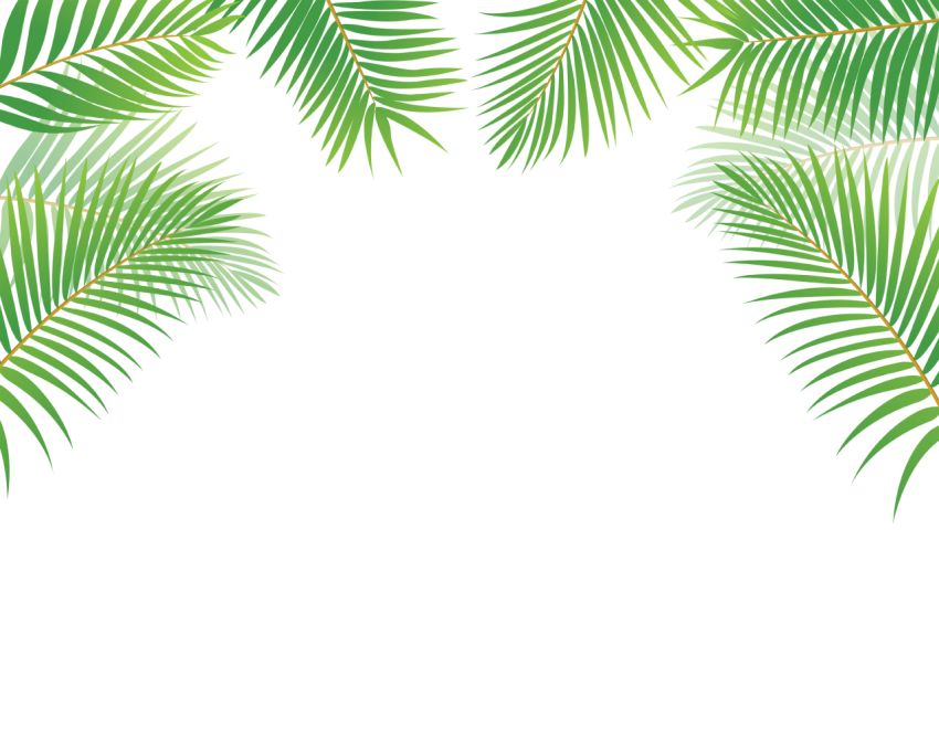 Green Tropical Leaves Border Png