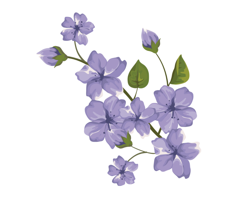 Beautiful Purple Flower Png Free download
