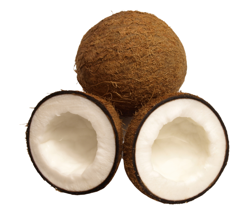 Coconut Png Free Download