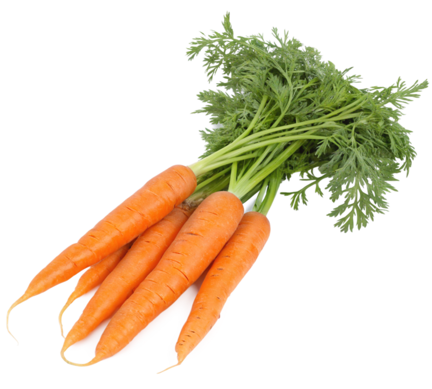 Freshe carrots transparent image png
