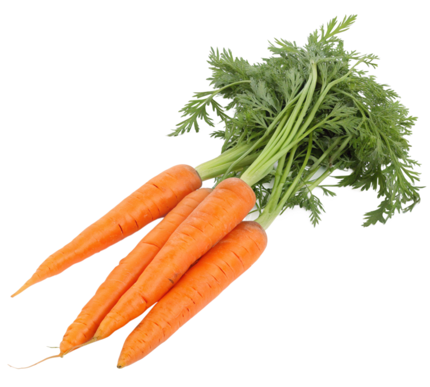 Freshe carrots transparent image png