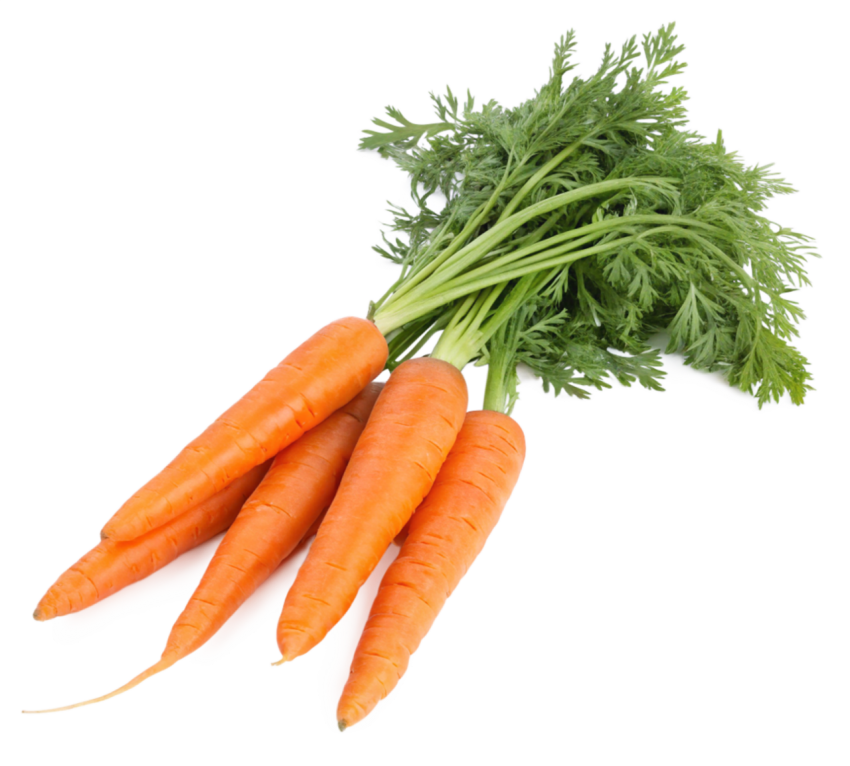 Freshe carrots transparent image png