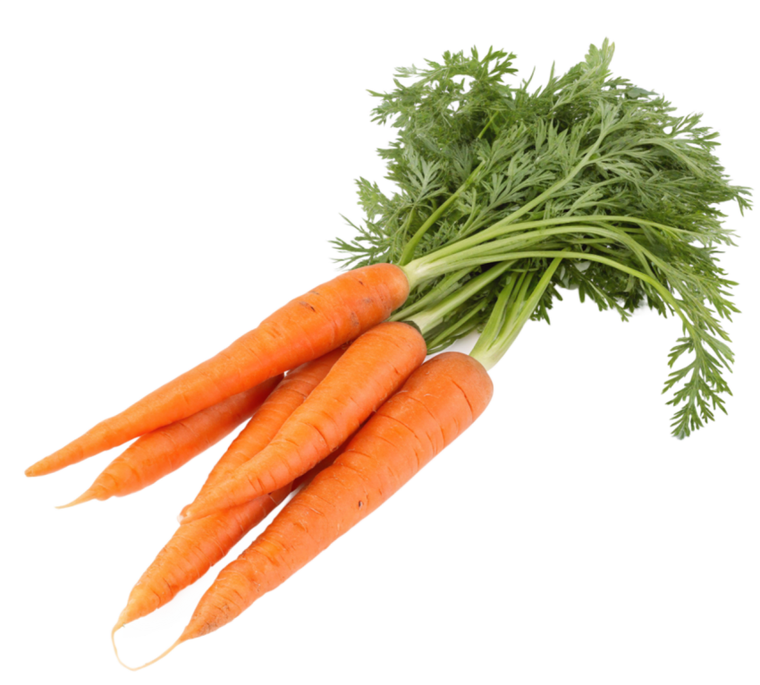Freshe carrots transparent image png
