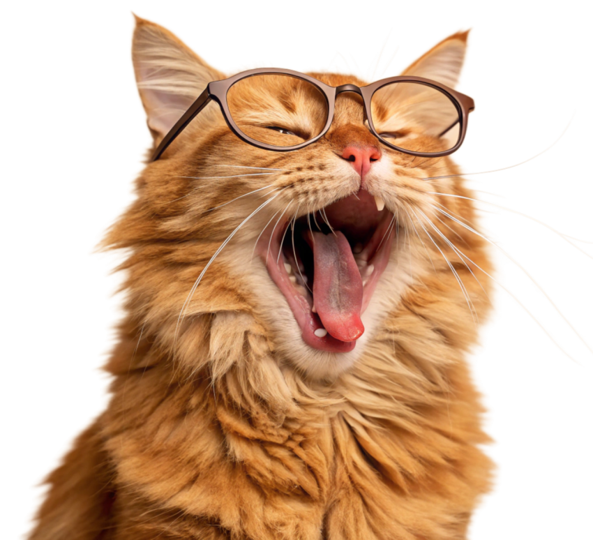 Adorable Ginger Cat Yawning png Image