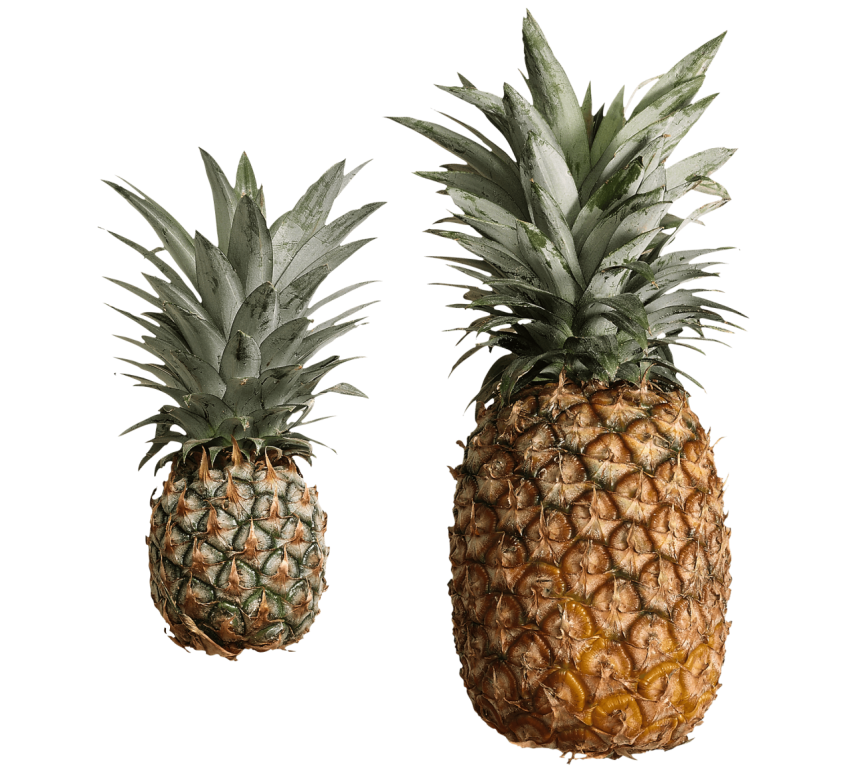 Pineapple Fruit PNG Image Free Download