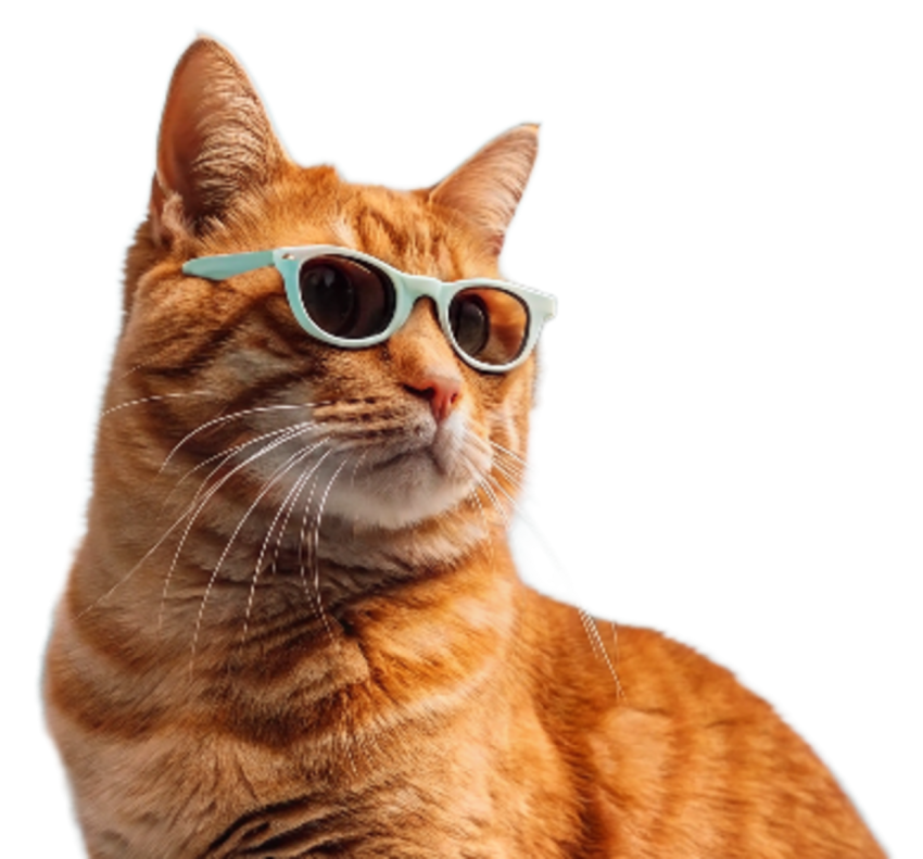 Cat Wearing Sunglasses png image