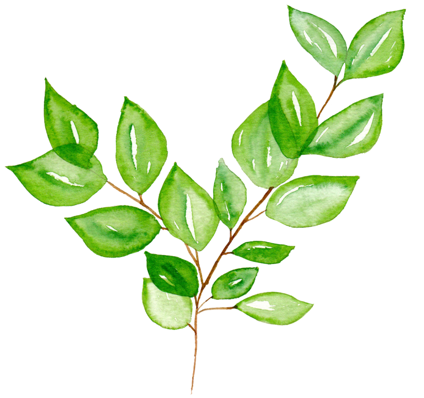 Png Watercolor Leaves