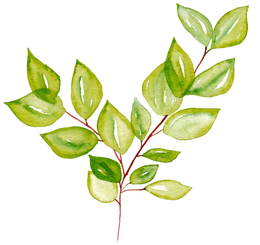 Png Watercolor Leaves