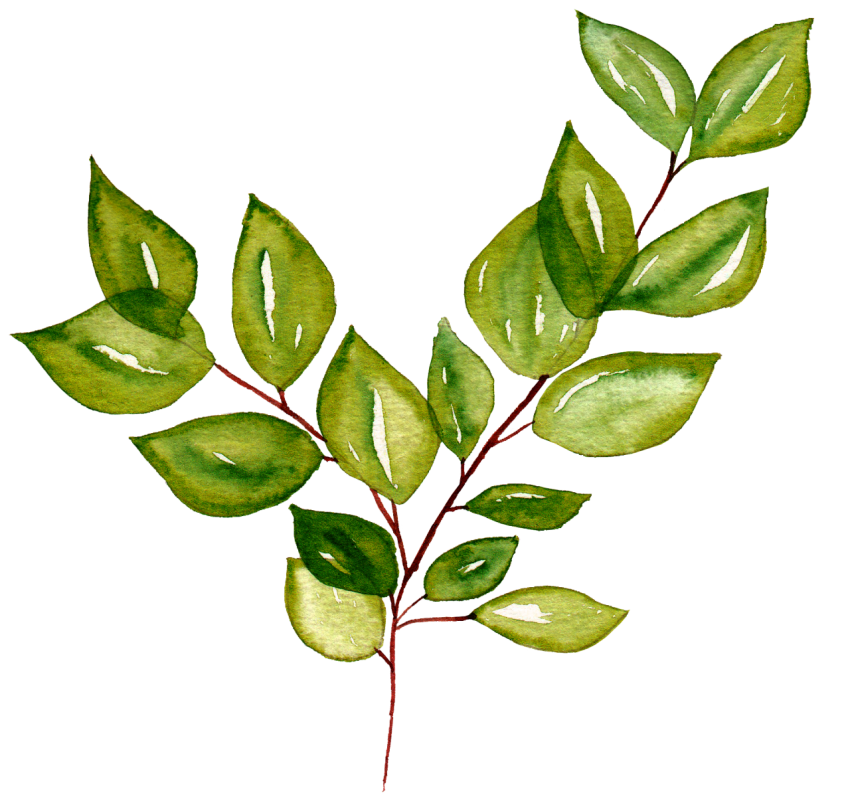 Png Watercolor Leaves