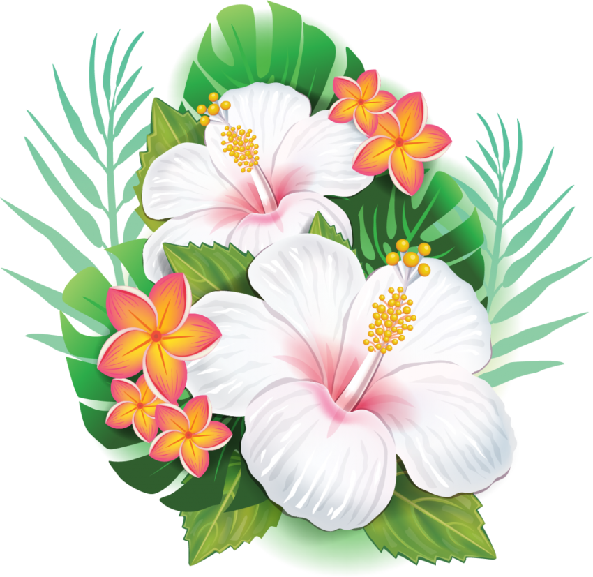 Tropical Flower Png Free Download