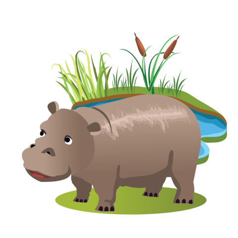 Hippopotamus Image Free Download
