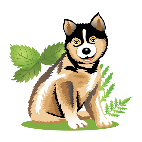 Arctic Wolf Png Image Free Download