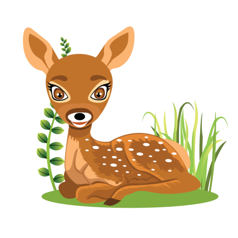 Cute Baby Deer