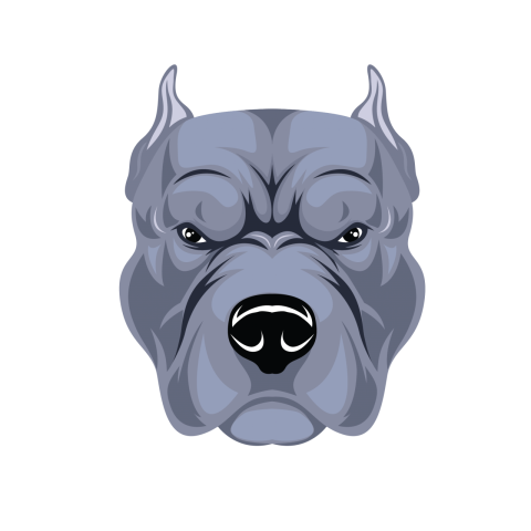 Bull Dog Face Illustration