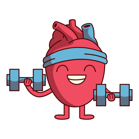 Healthy Heart Illustration