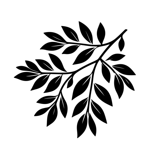 Silhouette PNG Leaves Branch