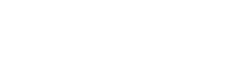 Facebook Wordmark White Logo png
