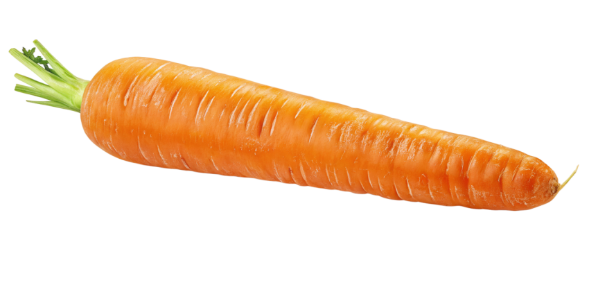 Single fresh orange carrot png image