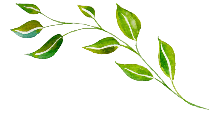 Png Watercolor Leaves