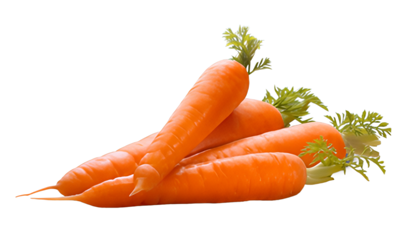 Freshe carrots transparent image png