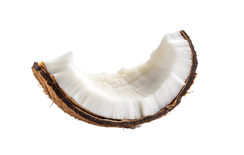 Coconut Slice Isolated on a Transparent Background