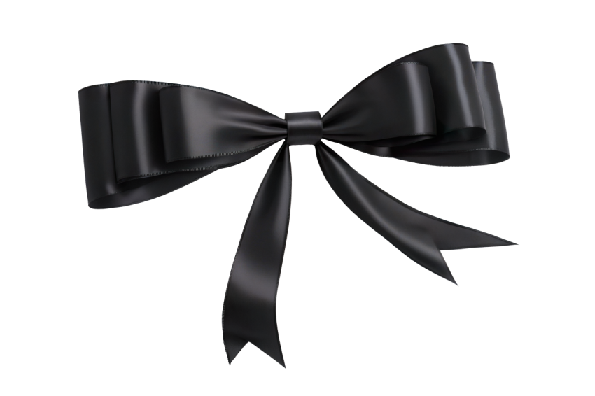 Elegant Black Bow on transparent Background
