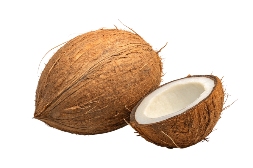 Whole Coconut and Halved Coconut on Transparent Background