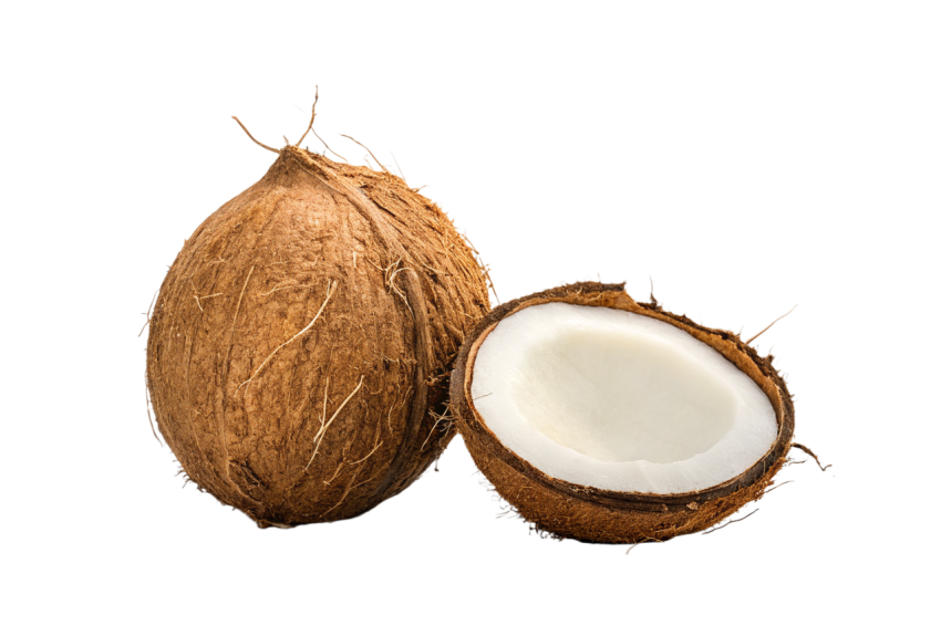 Whole Coconut and Halved Coconut on Transparent Background