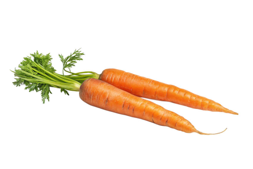 Freshe carrots transparent image png