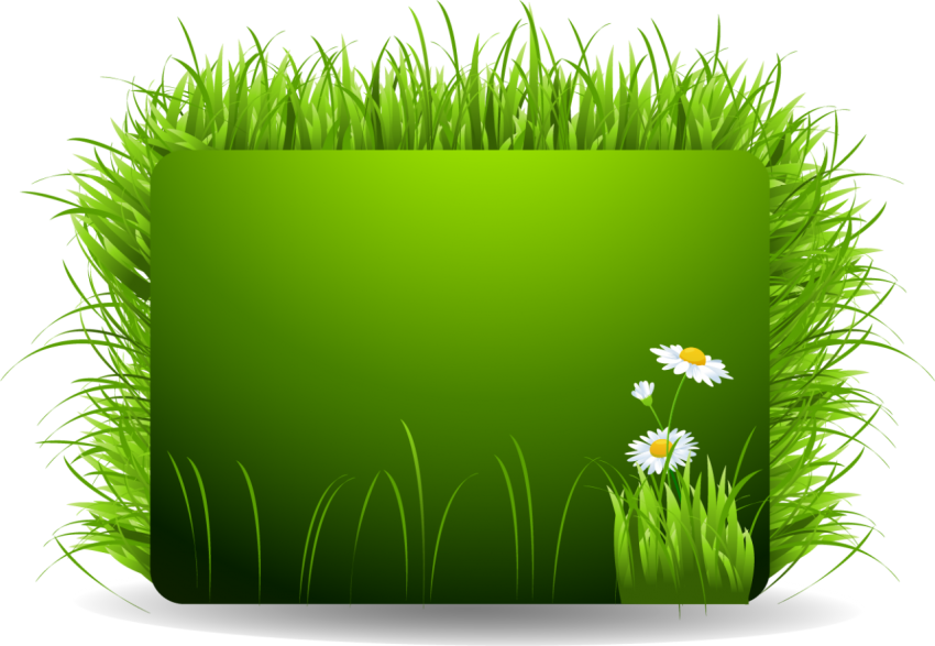 Spring Flower Banner Png Free Download