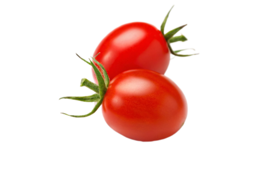 Tomatos transparent image png