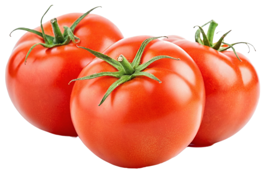 Tomatos transparent image png