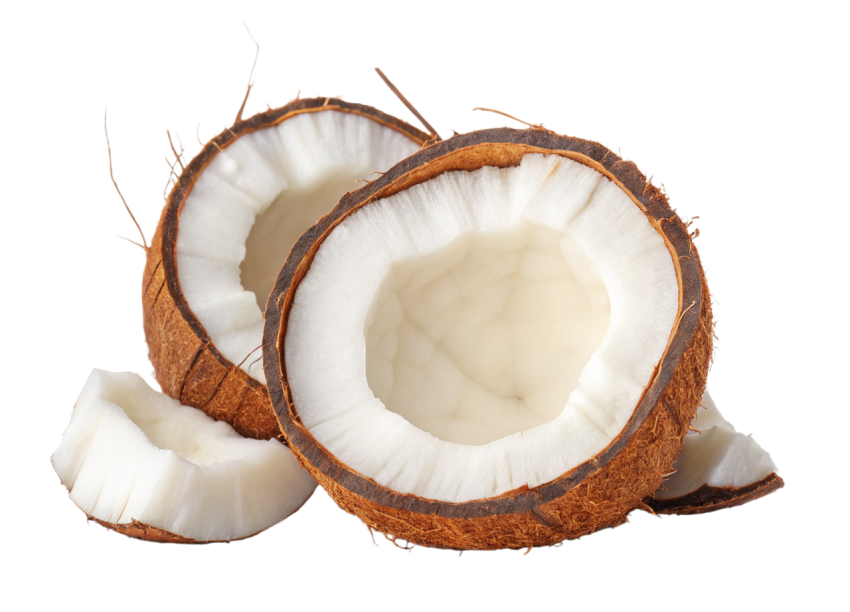 Halved Coconut on Transparent Background