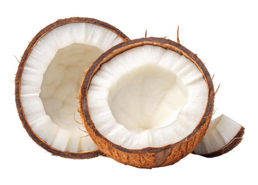 Halved Coconut on Transparent Background