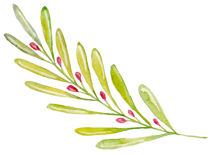 Png Watercolor Leaves