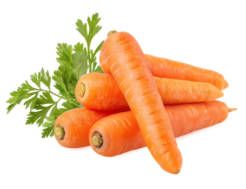 Freshe carrots transparent image png