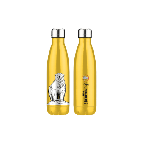 Drink Bottle Stainless Steel Png