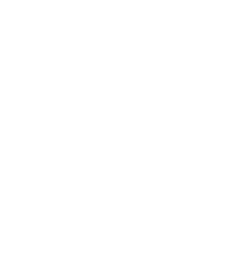 Apple Inc  White Logo