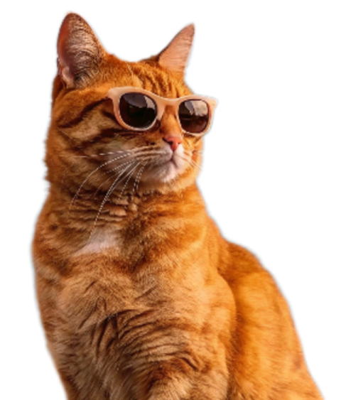 Cat Wearing Sunglasses png image