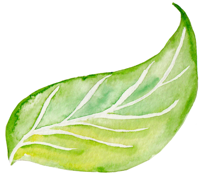 Png Watercolor Leaves
