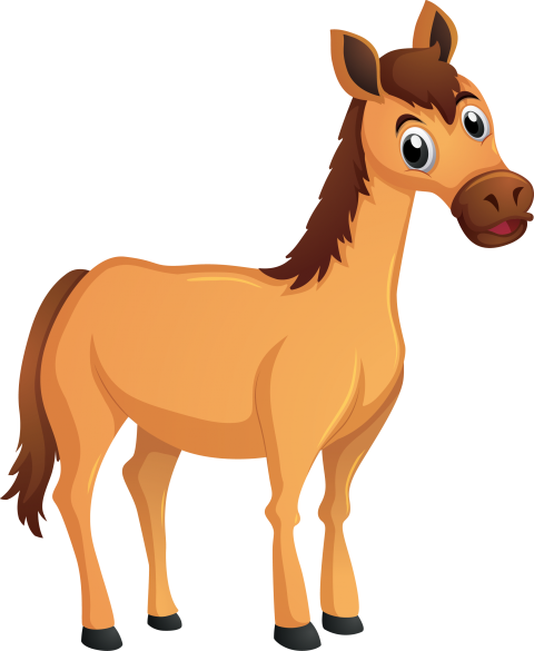 Baby Horse Cartoon Png Free Download