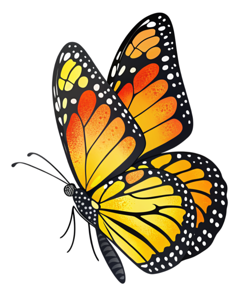 Colorful Patterns Butterfly PNG