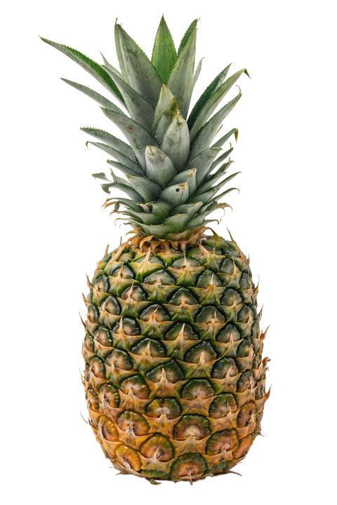 Fresh Pineapple on Transparent Background