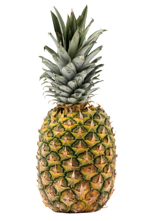 Fresh Pineapple on Transparent Background