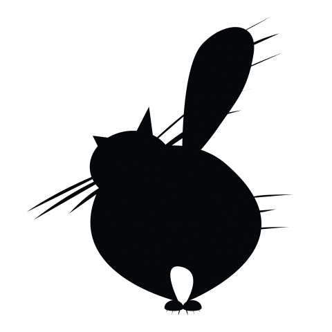 Funny Cat Cartoon Png