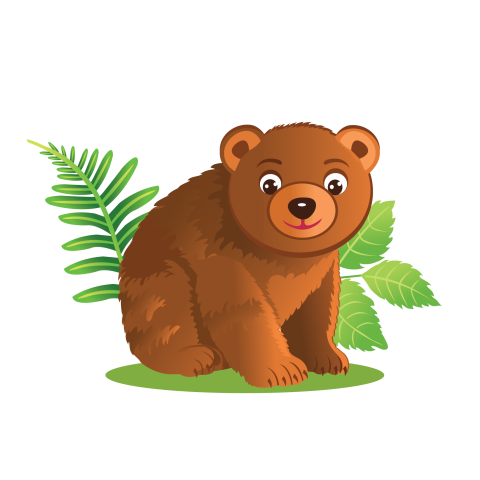 Cute Baby Bear