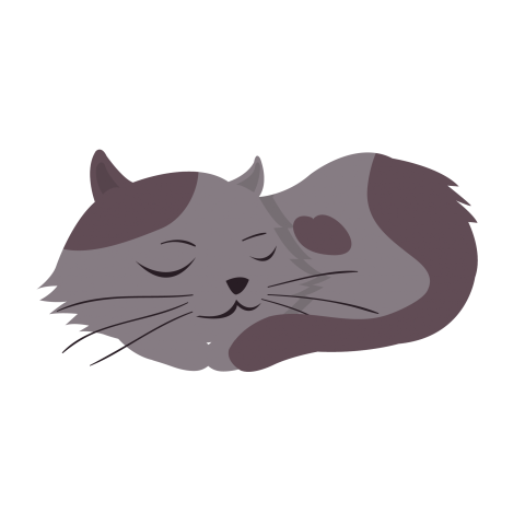 Cute Sleeping cat