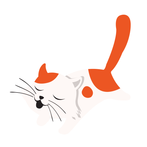 Funny Cat Png Free Download
