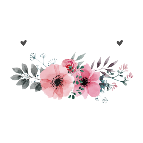 Watercolor Flower Illustration Transparent