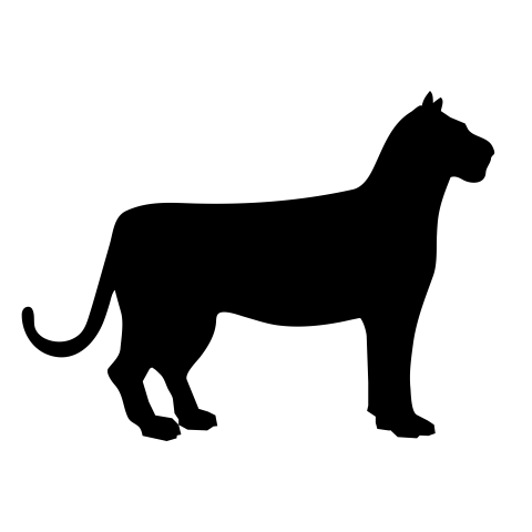 Female lion silhouette png